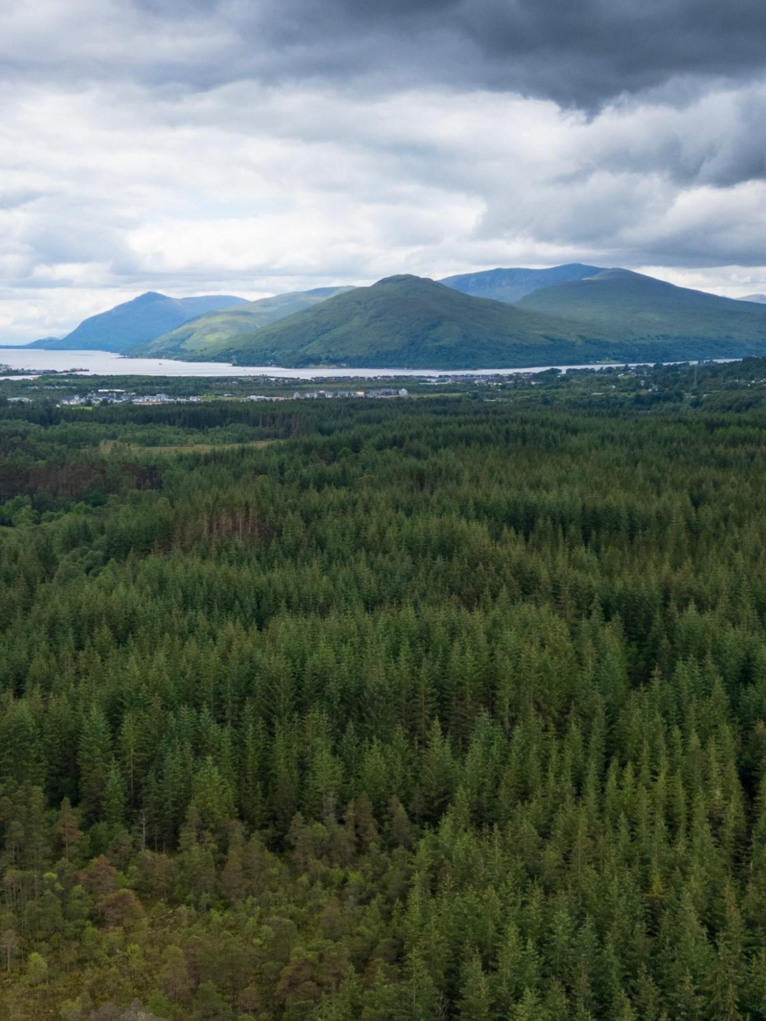 Kingswood Lodges Форт-Уильям Экстерьер фото